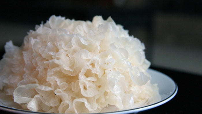 Health and Beauty Benefits of the Tremella Snow Mushroom